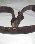 Early, vintage, GCCI, brown whip-stitched, leather belt with a round, gold & enamel buckle