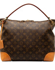 Brown LV Monogram Berri PM Shoulder Bag