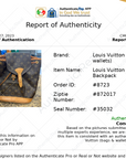 Backpack Luxury Designer By LV Size: Large