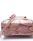 GCCI Diana Mini Tote Python