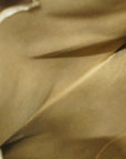 GCCI Old 97 19 302 Leather,GG Supreme Shoulder Bag Beige