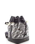 FNDI Black Monogram Mon Tresor Plexi Bucket Bag