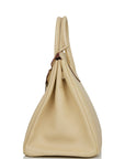 Top Quality HMS Birkin 35 Parchemin Epsom Palladium Hardware
