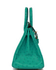 HMS Birkin 25 Vert Verone Ostrich Gold Hardware