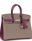 HMS Special Order (HSS) Birkin 25 Gris Asphalte and Anenome Togo Brushed Palladium Hardware