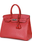 Top Quality HMS Birkin 35 Bougainvillea Ostrich Palladium Hardware