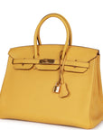HMS Birkin 35 Soleil Togo Gold Hardware