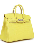 HMS Birkin 25 Lime Matte Alligator Palladium Hardware