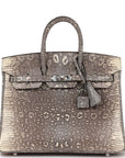 HMS Birkin 25 Ombre Shiny Salvator Lizard Palladium Hardware