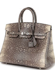 HMS Birkin 25 Ombre Shiny Salvator Lizard Palladium Hardware
