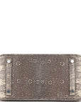 HMS Birkin 25 Ombre Shiny Salvator Lizard Palladium Hardware