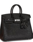 HMS Birkin 25 Black Ostrich Palladium Hardware