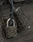 HMS Gris Tourterelle Porosus Crocodile Birkin 35 Bag