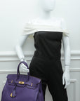 HMS Ultraviolet Birkin 35 Bag