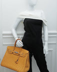 HMS Tabac Camel Ostrich Birkin 35 Bag