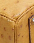 HMS Tabac Camel Ostrich Birkin 35 Bag