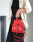 Christian D1OR CD Logo Backpack Red Vintage pz728i