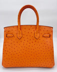 HMS Birkin 30 Ostrich 5K Tangerine Palladium Hardware