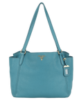 PRD BR4970 SHOULDER BAG PAVONE VITTELO DAINO LEATHER GOLD HARDWARE WITH CARD