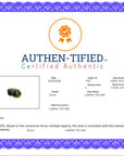 Belt Luxury Designer GCCI