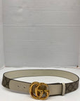 Belt Luxury Designer By GCCI