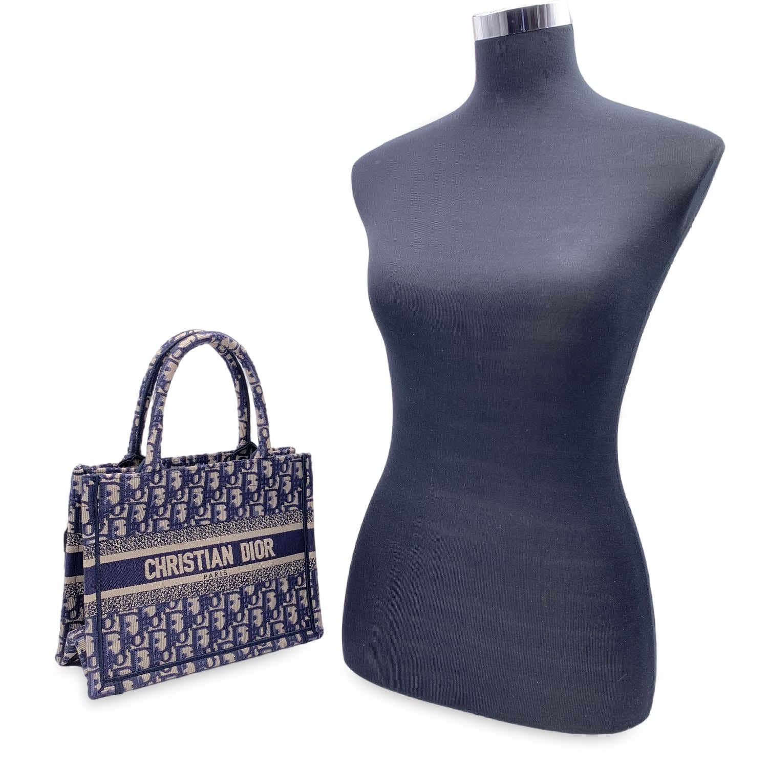 CHRISTIAN D1OR Blue Oblique Canvas Small Book Tote Bag Handbag