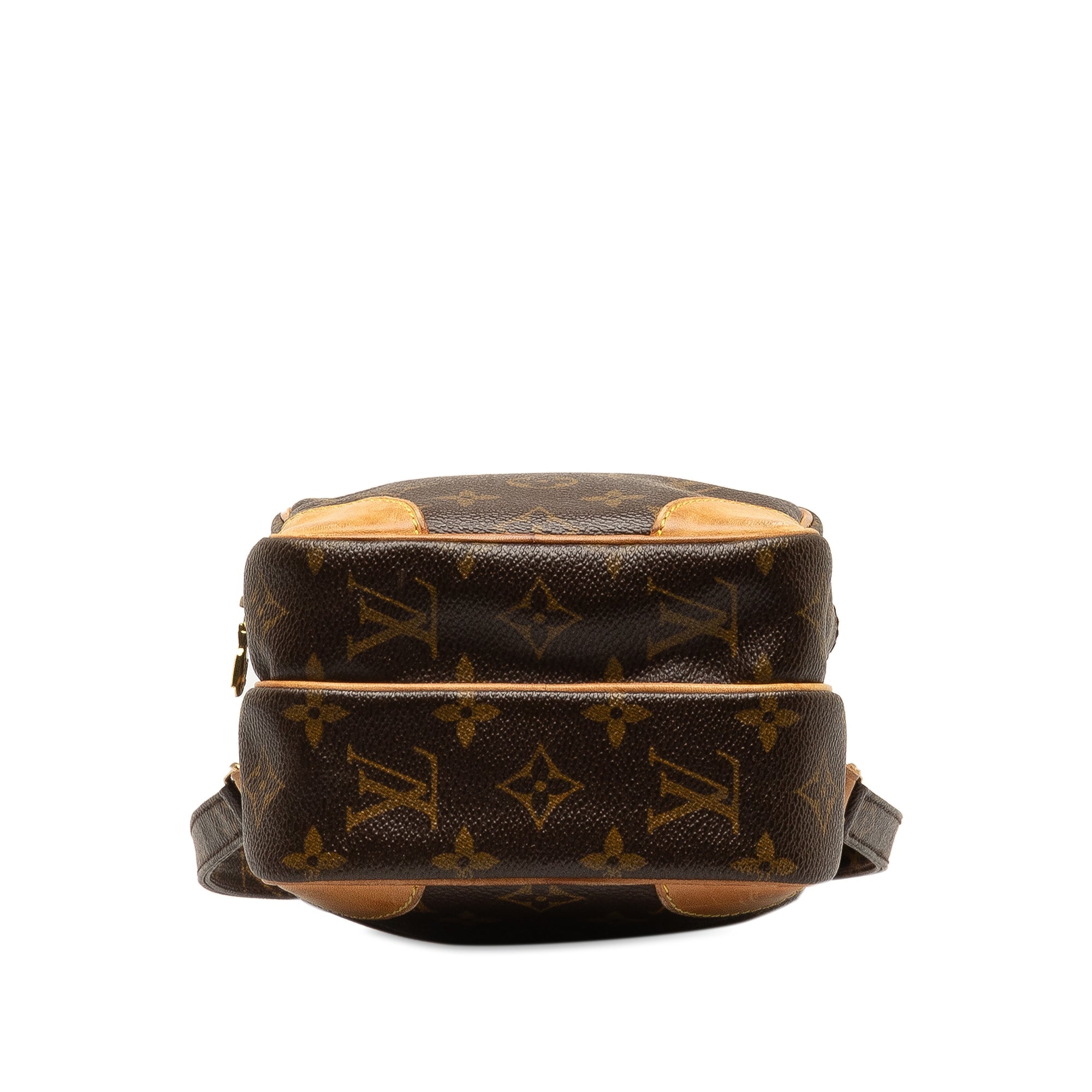 Brown LV Monogram Amazone Crossbody Bag