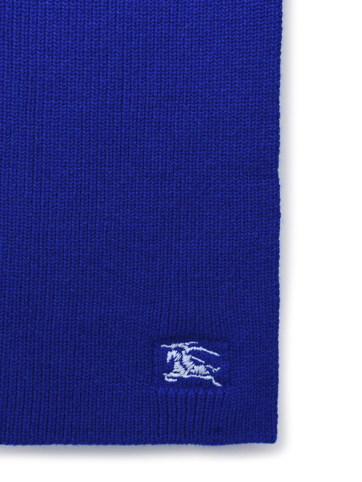 BBERRY Blue Cashmere Scarf Woman