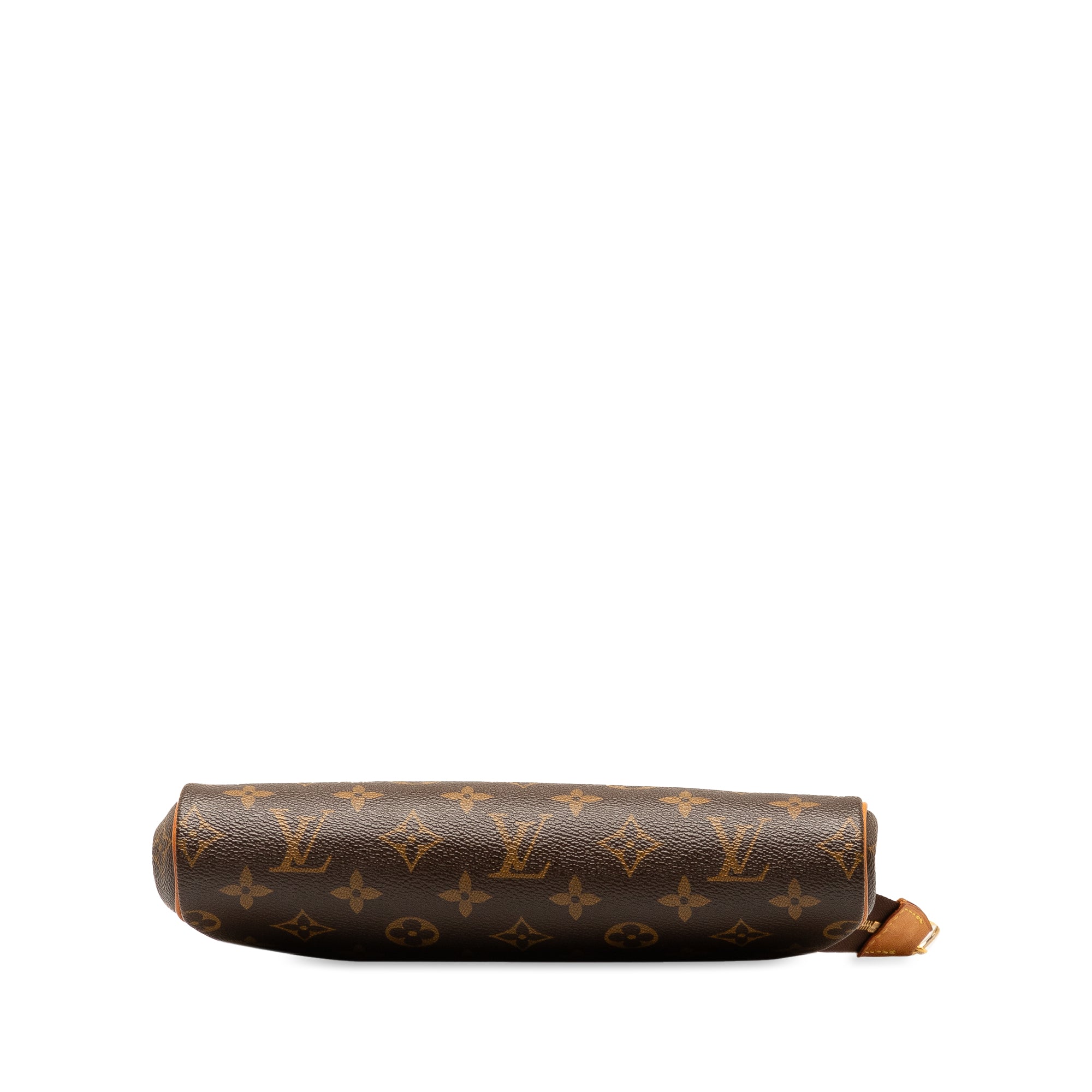 Brown LV Monogram Eva Satchel