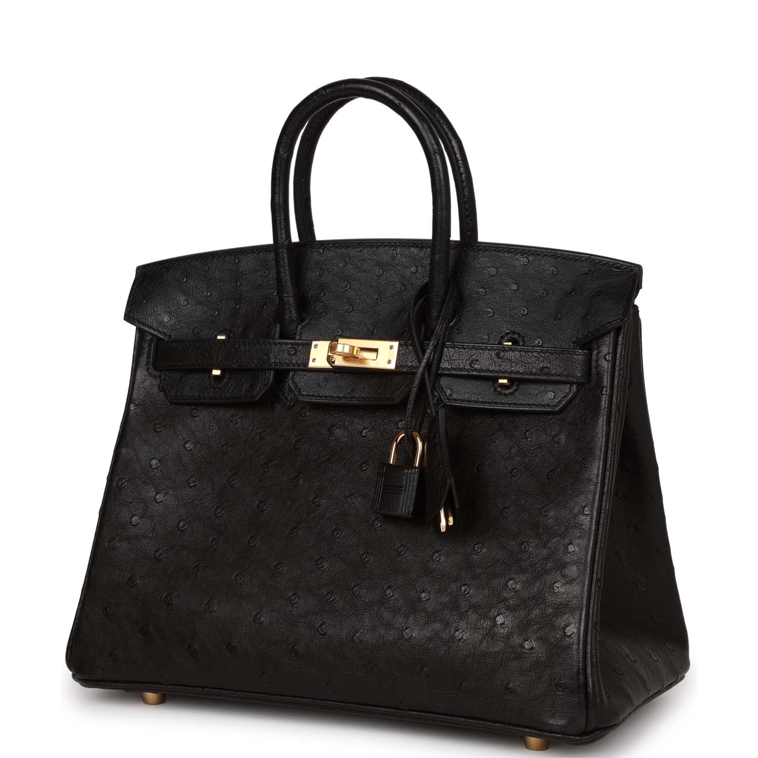 HMS Birkin 25 Black Ostrich Gold Hardware