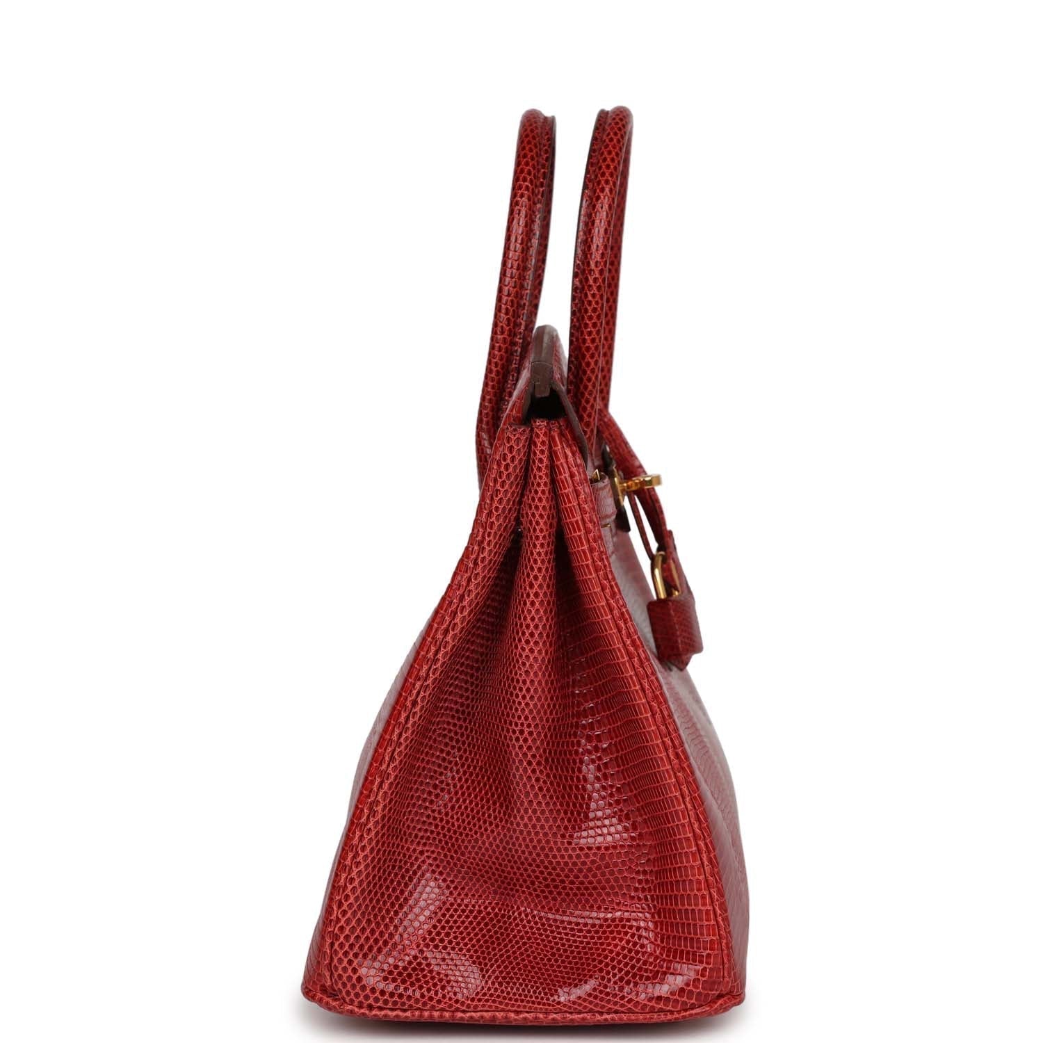 Top Quality HMS Birkin 25 Rouge Moyen Salvator Lizard Gold Hardware