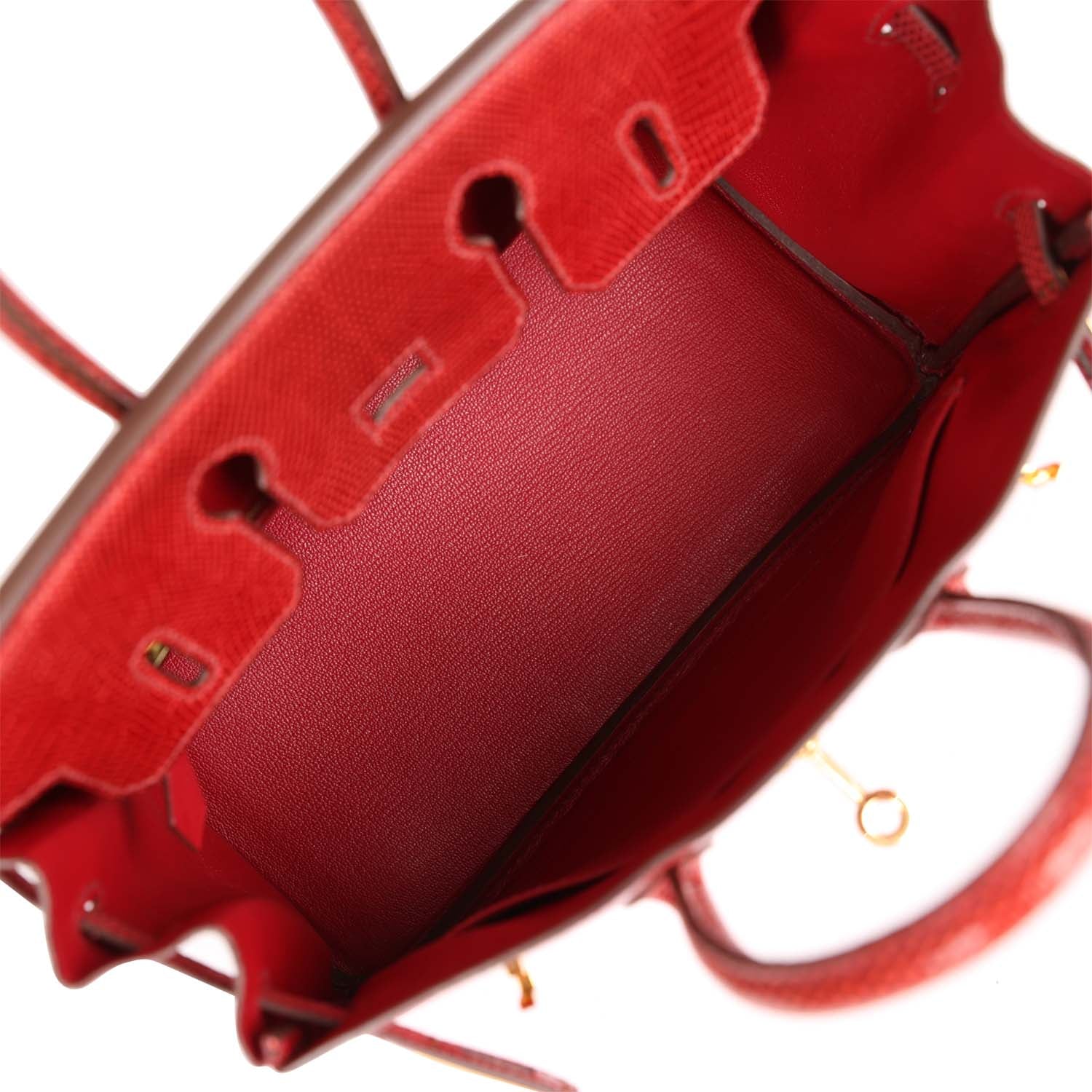 Top Quality HMS Birkin 25 Rouge Moyen Salvator Lizard Gold Hardware