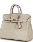 HMS Birkin 25 Beton Matte Alligator Gold Hardware