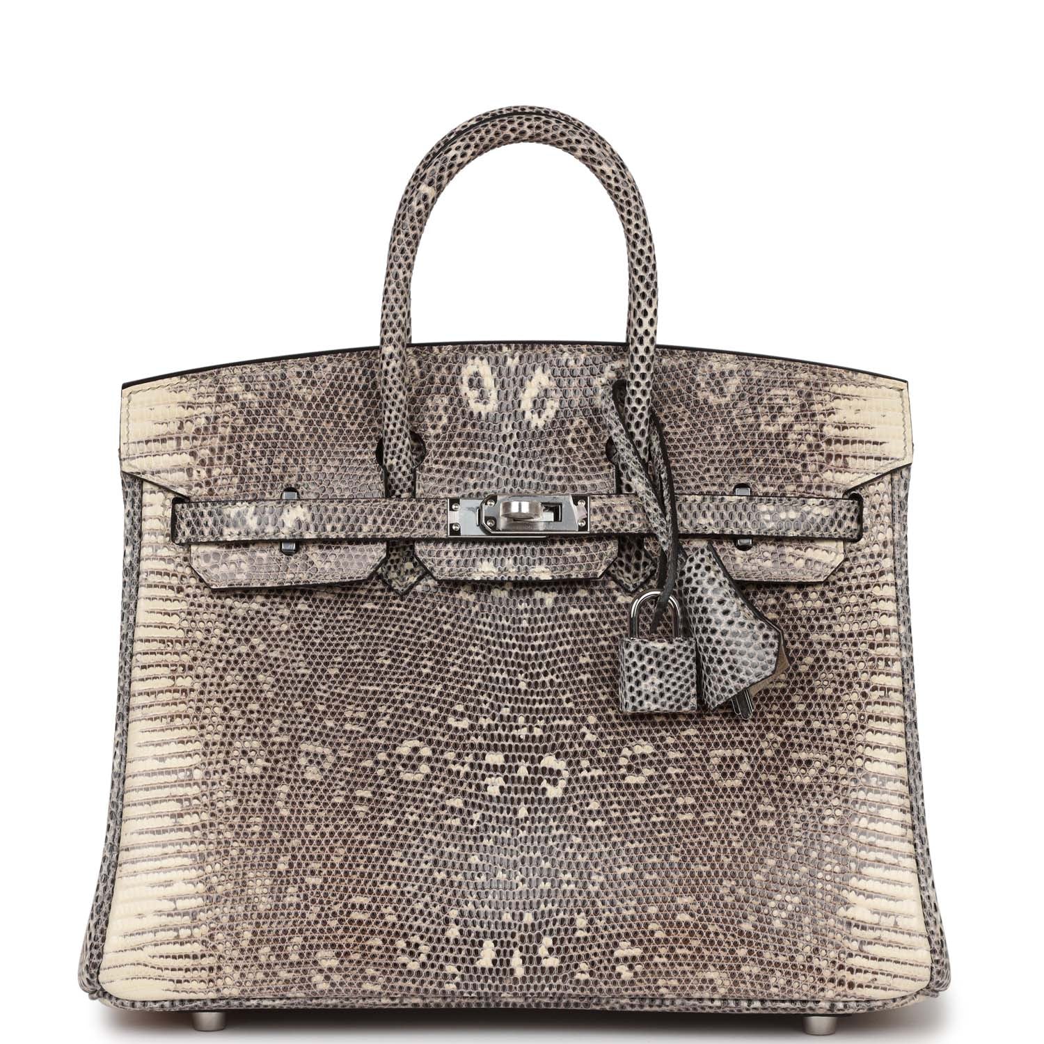 HMS Birkin 25 Ombre Shiny Salvator Lizard Palladium Hardware