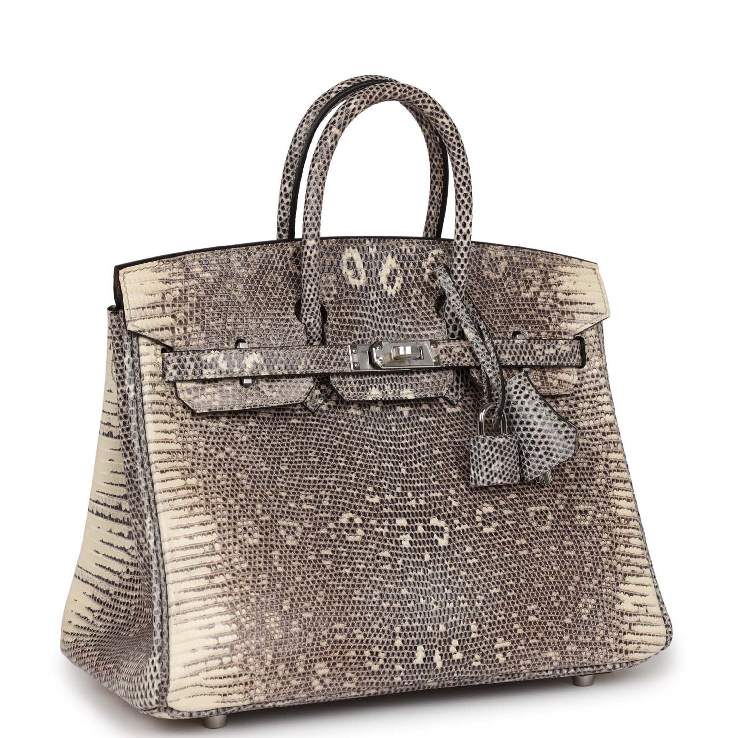 HMS Birkin 25 Ombre Shiny Salvator Lizard Palladium Hardware