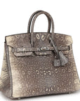 HMS Birkin 25 Ombre Shiny Salvator Lizard Palladium Hardware