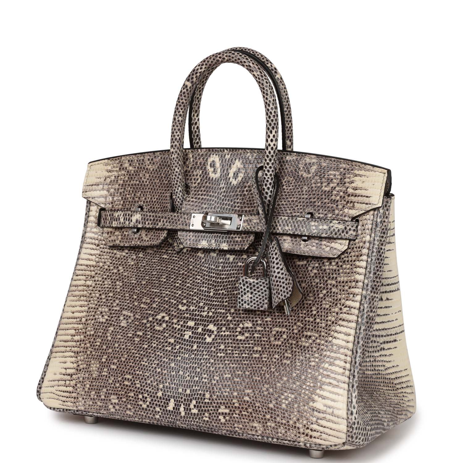 HMS Birkin 25 Ombre Shiny Salvator Lizard Palladium Hardware