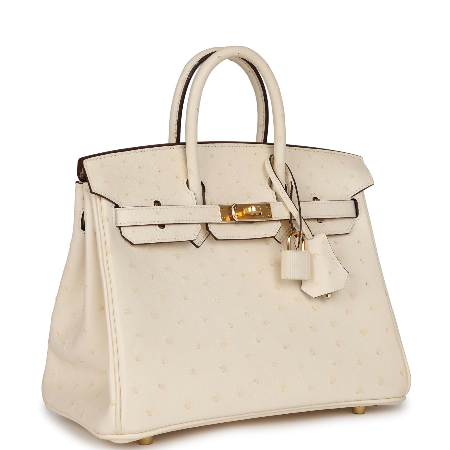HMS Birkin 25 Nata Ostrich Gold Hardware