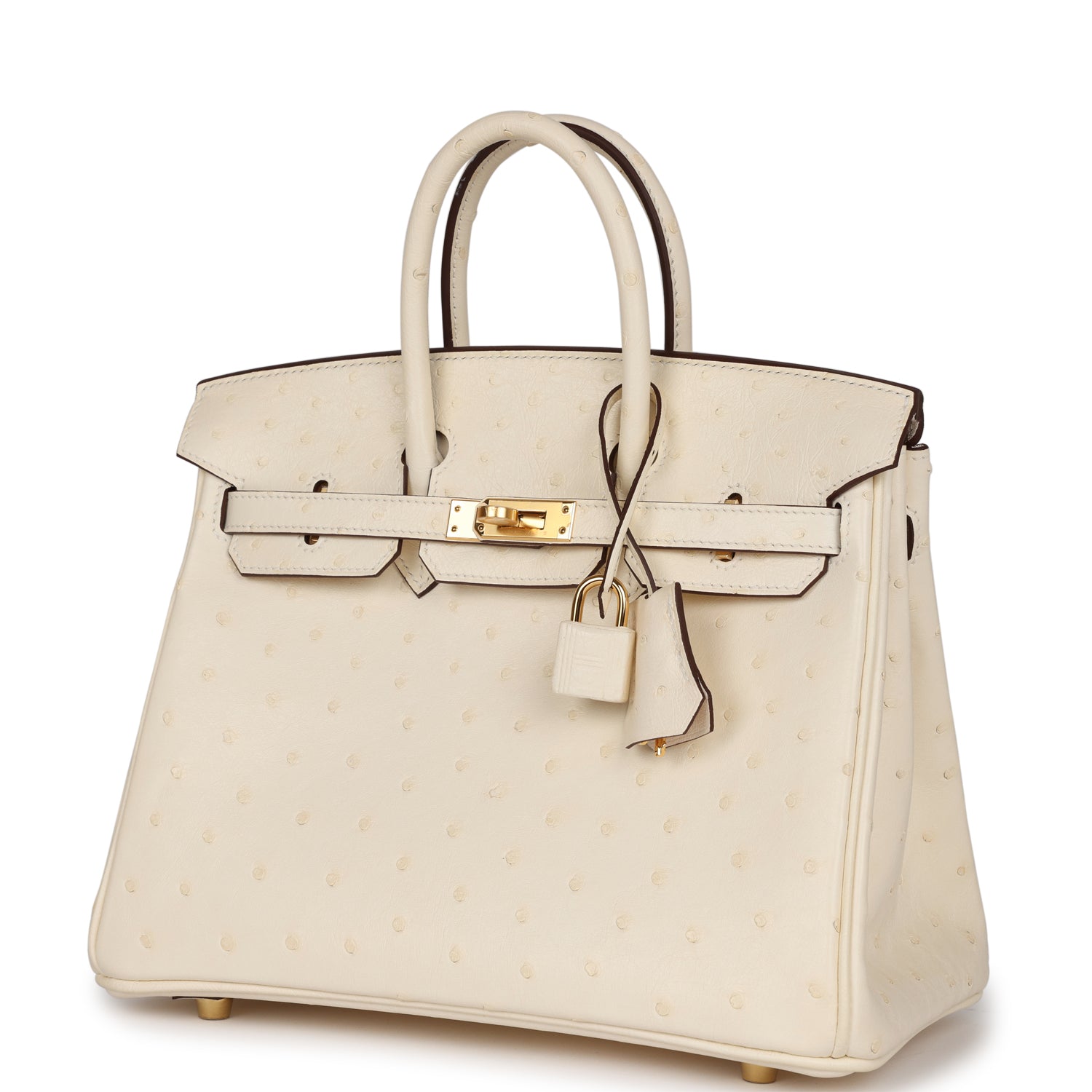 HMS Birkin 25 Nata Ostrich Gold Hardware