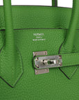 HMS Birkin 25 Vert Yucca Togo Palladium Hardware