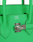 HMS Birkin 25 Vert Comics Togo Palladium Hardware