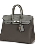HMS Birkin 25 Gris Meyer Togo and Gris Ciment Matte Alligator Touch Palladium Hardware
