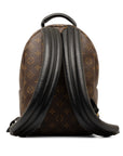 Brown LV Monogram Reverse Palm Springs PM Backpack