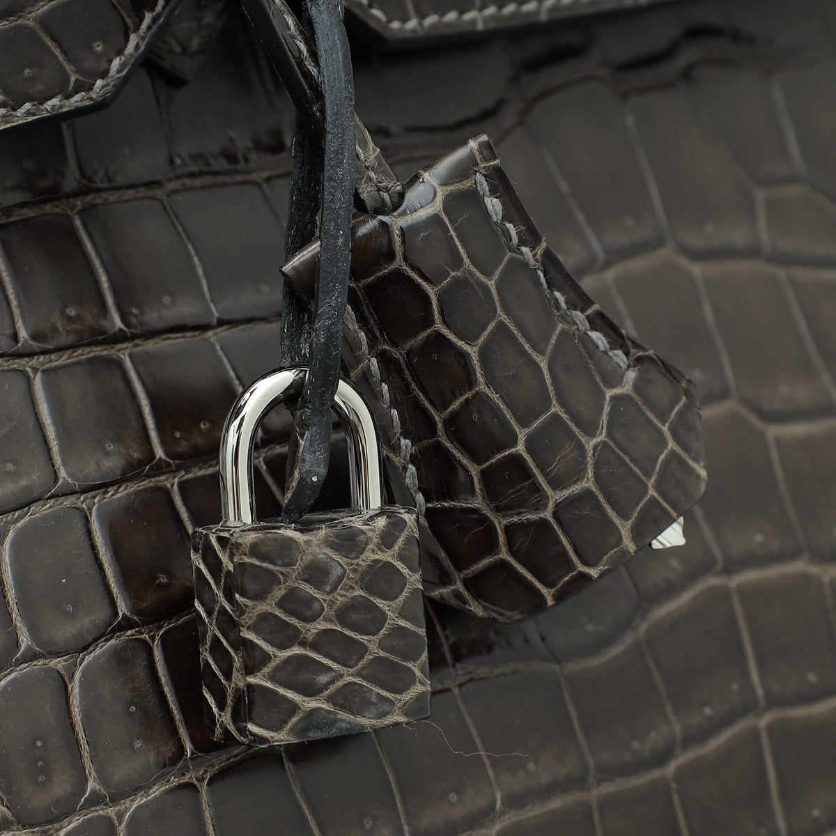 HMS Gris Tourterelle Porosus Crocodile Birkin 35 Bag