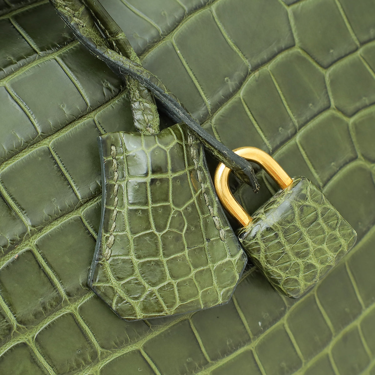 HMS Vert Veronese Matte Crocodile Porosus Birkin 35 Bag