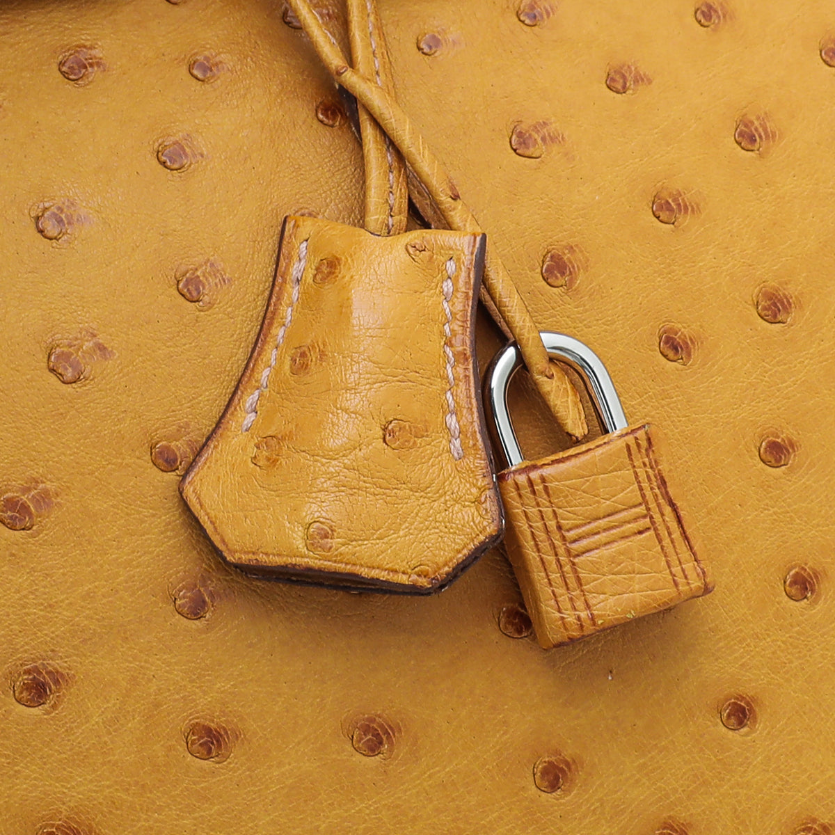 HMS Tabac Camel Ostrich Birkin 35 Bag