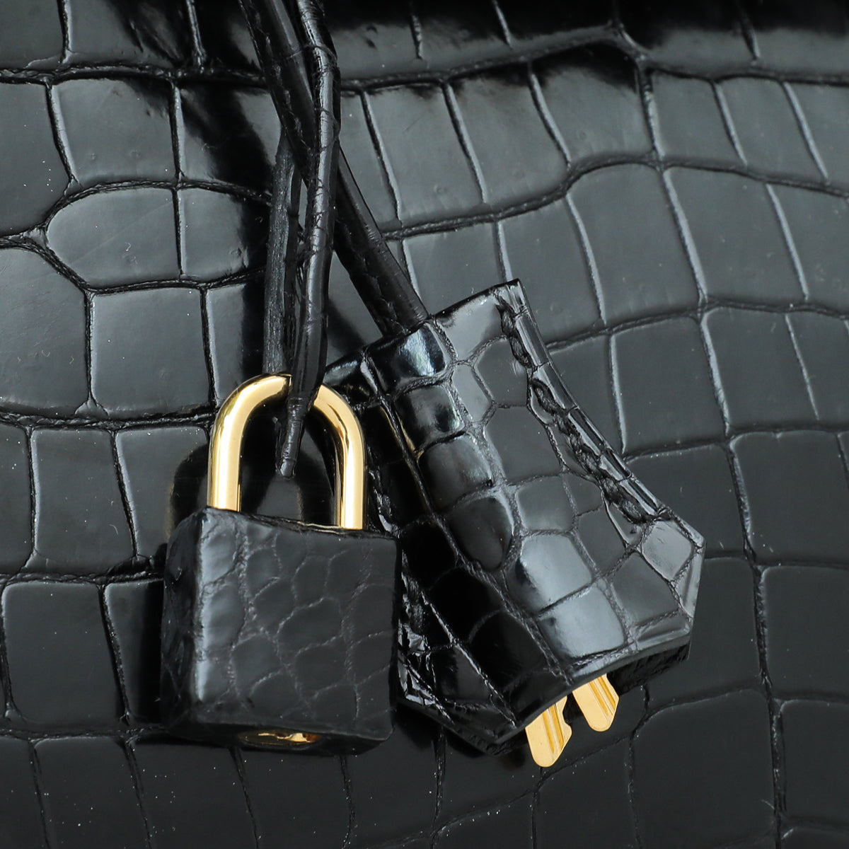 HMS Noir Crocodile Porosus Birkin 35 Bag