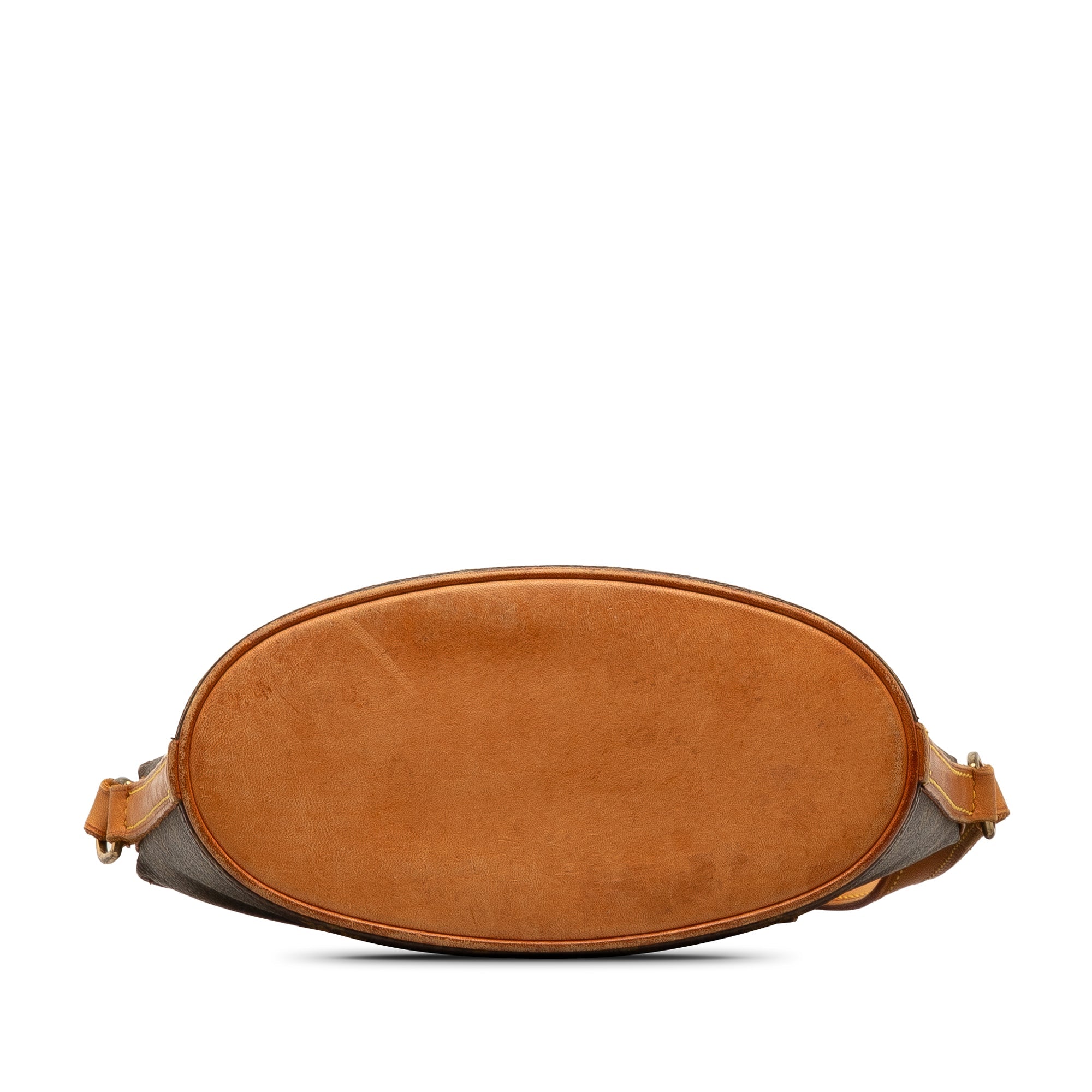 Brown LV Monogram Drouot Crossbody Bag