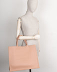 CHRISTIAN D1OR Calfskin Embossed Book Tote Rose Des Vents