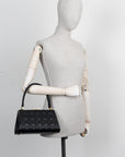 CHRISTIAN D1OR Caro Cannage Frame Bag Black Leather